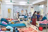 Ăn bánh mì, 42 người ở Quảng Trị nghi bị ngộ độc