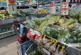 Bộ Y tế yêu cầu tăng cường kiểm tra, giám sát an toàn thực phẩm sau mưa lũ