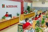 Lãi suất Agribank ngày 19/9: Gửi 100 triệu, 200 triệu, 300 triệu và 500 triệu thì mang về bao nhiêu tiền lãi?