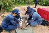 Hơn 2 tuần, Đội K90 quy tập 10 hài cốt liệt sĩ tại Campuchia