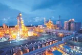 Hành trình 15 năm gắn kết cộng đồng của Phân bón Cà Mau
