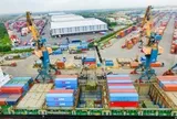 Vừa trở thành cổ đông lớn, Gelex bán sạch 9,7 triệu cổ phiếu Hải An, thu về gần 500 tỷ đồng