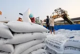 Điều kiện về kinh doanh xuất khẩu gạo