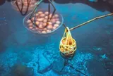 Việt Nam có suối nước nóng hơn 80°C giữa rừng nhiệt đới 280 ha, trứng thả xuống là chín: Công ty đứng sau liên quan Novaland, hơn 1.400 tỷ đang thế chấp ngân hàng