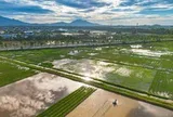 Một xã tại Hà Nội sắp xây trường đại học 10.000 sinh viên, nằm trên trục đường rộng hơn 3 lần đường băng sân bay, có tuyến metro nối thẳng vào nội đô