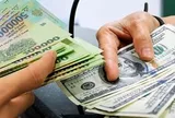 Rút ngắn thời gian xử lý đăng ký giao dịch ngoại tệ