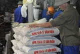Phân lân Văn Điển bổ nhiệm một Phó Tổng Giám đốc
