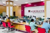 Gửi vào Agribank số tiền 50 triệu, 100 triệu, 200 triệu, 300 triệu đồng thì có lãi bao nhiêu?