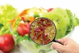 Bộ Y tế yêu cầu các địa phương chủ động kiểm soát nguy cơ ngộ độc thực phẩm