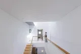 Ngôi nhà 66m² thiết kế lệch tầng để kết nối các không gian sinh hoạt