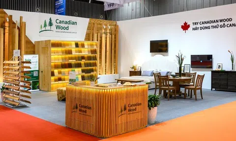 Canadian Wood Việt Nam Tăng Cường Kết Nối Với Ngành Gỗ và Nội Thất Việt Thông Qua Các Triển Lãm Uy Tín