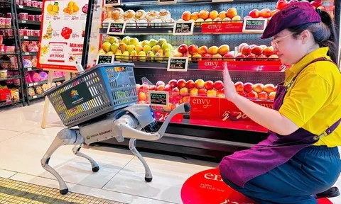 Menas Group Tiên Phong Đưa "Trợ Lý Ảo Thực Thể" Về Việt Nam Với Cặp Đôi Robot Dog MEME & NANA