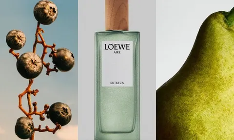 LOEWE Aire Sutileza: Khi sự tinh khiết trở thành dấu ấn