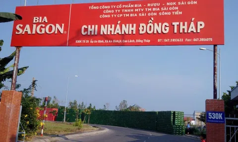 Công ty con của Sabeco sắp trả cổ tức năm 2023 bằng tiền tỷ lệ gần 200%