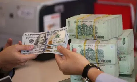 Tỷ giá ngoại tệ, tỷ giá USD/VND hôm nay 5/2: EUR, Nhân dân tệ, Peso... đồng loạt bật tăng