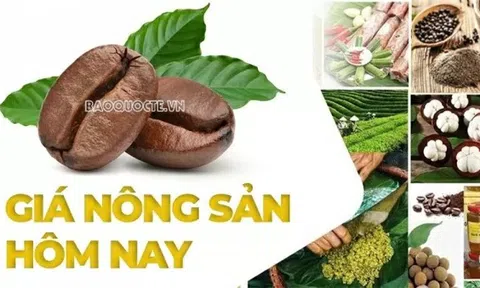 Giá cà phê hôm nay 30/6/2025: Dự báo giá cà phê tuần này, Giá tiêu chờ thuế đối ứng của Mỹ; Thông tư mới quy định về việc cấp C/O có gì?