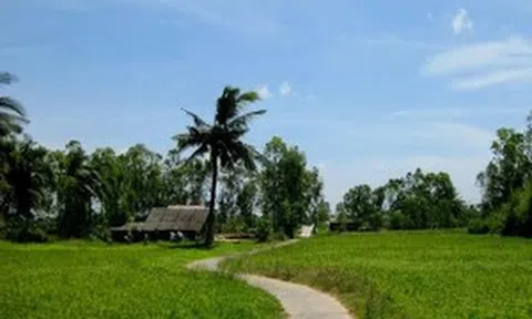 Café ngày mới: Hạnh phúc là nhà!