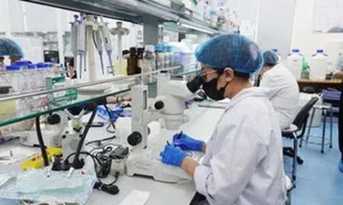 Trong 5 năm, Đại học Quốc gia TPHCM cung cấp hơn 80.000 nhân lực chất lượng cao
