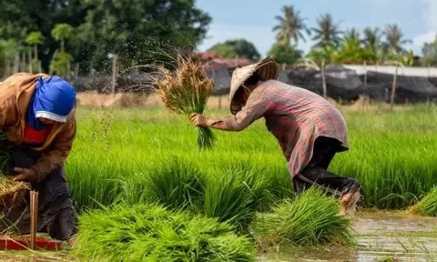 Pakistan muốn học Trung Quốc, xây dựng 'tương lai thịnh vượng' bằng kinh tế nông nghiệp