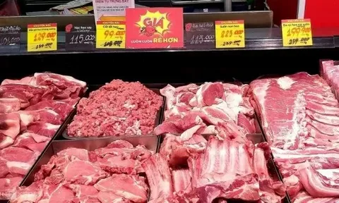 Giá heo hơi hôm nay 29/8: Miền Bắc bất ngờ tăng nhẹ, 58.000 đồng/kg là mức cao nhất cả nước