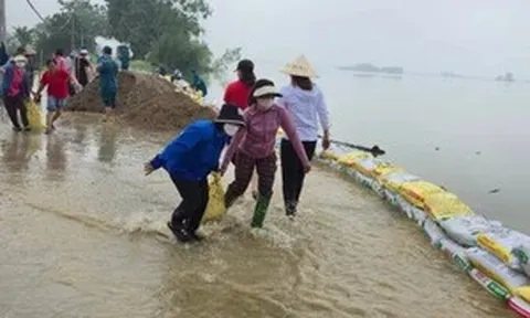 Thầy cô vùng rốn lũ Hà Nội tất tả lo đắp đê