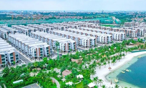 Bất động sản Trường Lộc báo lỗ bán niên 2025