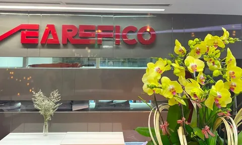 Searefico (SRF): Lãi sau soát xét tăng vọt 76%, đối mặt nguy cơ bị hủy niêm yết trên HoSE