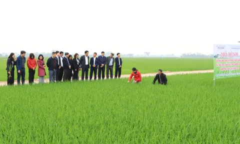 Hà Nội: 15 năm hành trình bứt phá xây dựng nông thôn mới