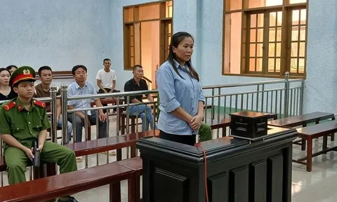 Thủ đoạn giúp nữ kế toán tham ô hàng trăm triệu đồng