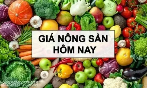 Giá nông sản hôm nay 13/9/2025: Giá cà phê tăng mạnh liên tiếp, Giá tiêu đi xuống; Xuất hiện 'mặt trận' thuế quan mới?