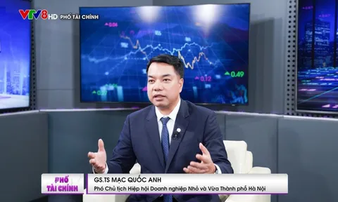 GS. TS Mạc Quốc Anh: Làm thế nào để đạt mục tiêu 1.000 người dân thì có 2 doanh nghiệp?