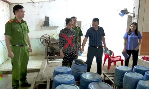 Khởi tố người phụ nữ dùng hóa chất sản xuất giá đỗ
