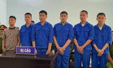 Gây ra 5 vụ cướp tài sản trong đêm, 6 nam thanh lĩnh án