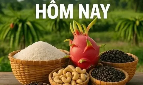 Giá nông sản hôm nay 16/9/2025: Lý do giá cà phê đồng loạt tăng vọt, Giá tiêu vẫn hy vọng; Việt Nam gửi thư tới Bộ trưởng Thương mại Mỹ