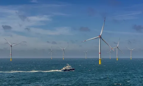 Bước đi quan trọng để điện gió ngoài khơi không bị “thổi bay”