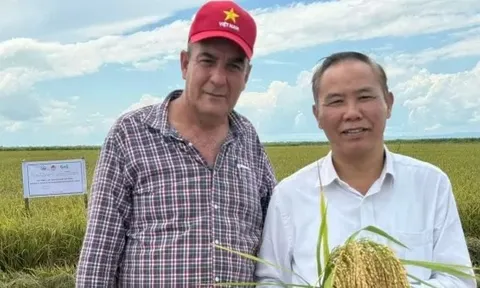 Hợp tác nông nghiệp Việt Nam-Cuba mở rộng từ lúa gạo sang chăn nuôi, thủy sản và công nghệ sinh học