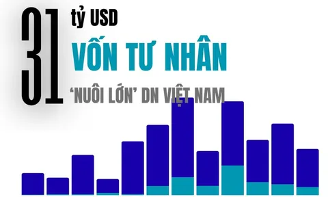 31 tỷ USD 'nuôi lớn' Masan, Tiki, Equest, Golden Gate... trong 1 thập kỷ từ dòng vốn tư nhân