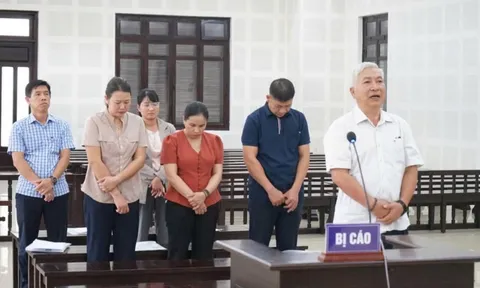 Nguyên giám đốc Cảng vụ Hàng hải lĩnh án vì lập khống hàng trăm chuyến công tác