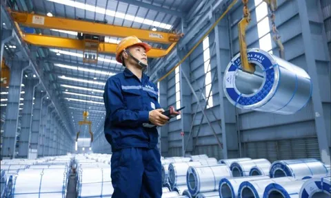 Thép cuộn cán nóng Hòa Phát quý 3/2025 tăng 71% so với cùng kỳ