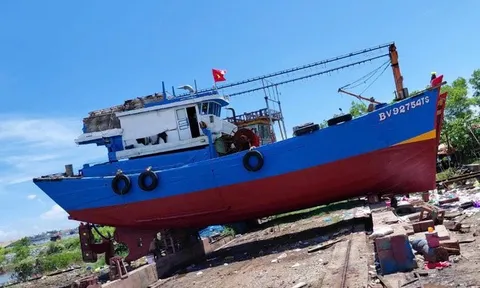 Có dấu hiệu tội phạm trong vụ chìm 2 tàu cá khiến 4 người chết, 5 người mất tích