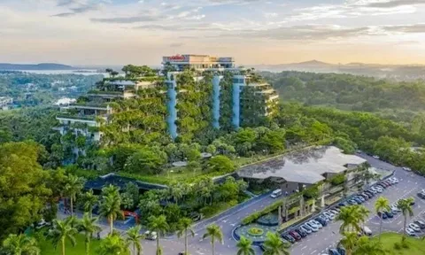 Đổi mới sáng tạo, thúc đẩy phát triển công trình xanh và giao thông xanh theo hướng bền vững