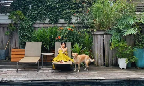 Nữ diễn viên ở biệt thự dát vàng, được lên phóng sự Hàn Quốc về cuộc sống của giới siêu giàu Việt Nam