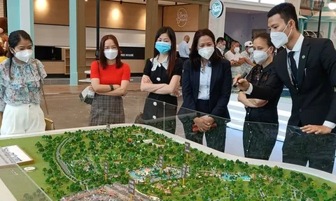 Phó Thủ tướng yêu cầu triển khai giải pháp phòng, chống rửa tiền trong các giao dịch trên các sàn BĐS, tiền ảo