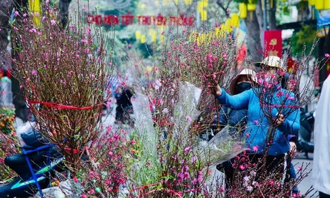 Bộ Nội vụ thông báo lịch nghỉ Tết Âm lịch và nghỉ lễ Quốc khánh năm 2026