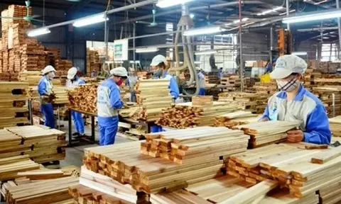 Phản ứng của Việt Nam trước việc Mỹ áp dụng thuế lên đỗ gỗ và nội thất
