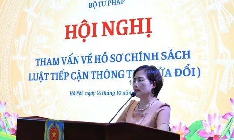 Tham vấn về hồ sơ chính sách Luật Tiếp cận thông tin (sửa đổi)