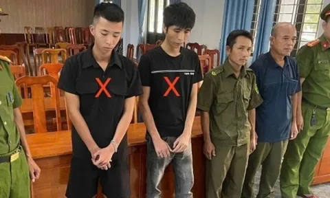 “Mở tiệc” ma túy tại gia, cả nhóm bị bắt