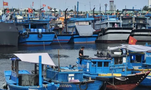 Đà Nẵng kêu gọi người dân trữ lương thực, nhu yếu phẩm ít nhất 3 ngày phòng lũ lớn
