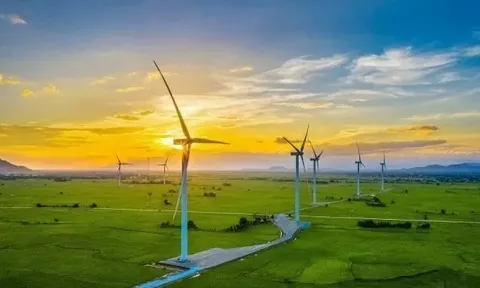Hợp tác quốc tế - chìa khóa để mở rộng nguồn lực trong chuyển đổi năng lượng