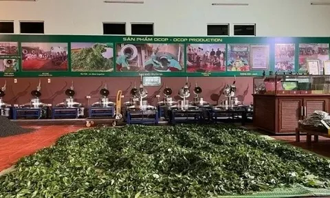 VCCI kiến nghị Thủ tướng gỡ vướng về thuế giá trị gia tăng cho nông sản Việt